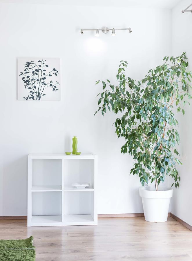 Tonka Centar Apartment *